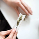 Vlada Joeja Bidena: "Smo za premik v smeri dekriminalizacije marihuane"