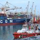 Ladja Borkum izpolnjuje pogoje za vplutje v Luko Koper; na njej naj ne bi bilo orožja za Izrael