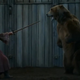 Poginil je medved, ki je osvojil Hollywood: od Iger prestolov do Dr. Dolittla