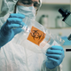 Znanstveniki izvajali nevarne poskuse na živalih: se je pandemija začela v laboratoriju?