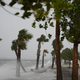Orkan Nicole dosegel Florido, na evakuiranem območju tudi Trumpovo domovanje