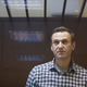Navalni o novačenju vojakov: Odlični bi bili pri prosjačenju za žganje