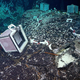 Slovenska raziskovalca našla življenje pod zemeljsko skorjo na dnu oceana