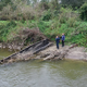 Mura naplavila več kot 11-metrski prazgodovinski deblak
