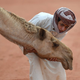 Bizaren razlog, zakaj v Dubaju cveti kloniranje kamel
