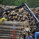 S podpisom pogodbe lesnopredelovalni industriji 37 milijonov državnega denarja