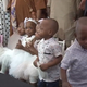 Deveterčki iz Malija praznovali drugi rojstni dan