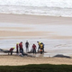 Na škotski obali nasedlo več kitov, večina jih je poginila