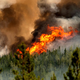 Stotine požarov pustoši po Kanadi, več kot 20.000 ljudi evakuiranih