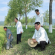 Huda lakota v Severni Koreji: helikopterji škropijo polja, Kim obiskal kmete