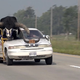 Nenavaden sopotnik v avtomobilu: Ogromen afriški bik