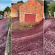 Ulice portugalske vasice preplavila reka rdečega vina