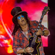 Kitarist skupine Guns N' Roses ustanovil dobrodelni festival bluesa