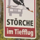 Nemci imajo nov prometni znak: Pozor, štorklje v zraku