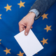 Ministrstvo: Politizacija izvedbe evropskih volitev je nesprejemljiva