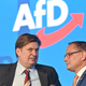 Nemški AfD izključili iz skupine ID v Evropskem parlamentu