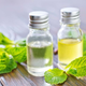 BLOG: Poprova meta, mogočno eterično olje