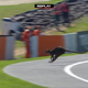 Prikupni obiskovalec prekinil drugi trening na Phillip Islandu