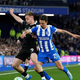 Takšni so časi v Premier League: Brighton po nasvete za obrambo do priznanega MMA borca!