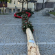 Ponesrečen in uspešen poskus kraje mlaja