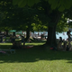 Vročinski val, preizkušnja za voznike in skok v jezero