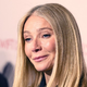 Gwyneth Paltrow deležna kritik zaradi promocije izraelskih nepremičnin