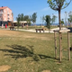 Nova Fiesa za skoraj 900.000 evrov, a slišati je tudi kritike