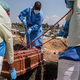 Ebola terjala že več kot 400 življenj