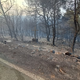 'Rešilni' oblak in njegovih 16 litrov nad Korčulo