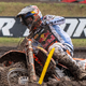 Herlings slavil na Otoku, Gajser tretji, Pancar osmi