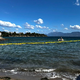 Grško mesto se je zoperstavilo meduzam