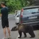 Povohal ga je medved, on ga zaradi telefona sploh ni opazil