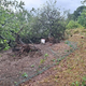 'Ne le vrtinec, bil je pravi tornado'