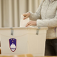 Burno pred lokalnimi volitvami: kdo se bo podal v boj?