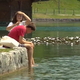 V Bohinju in na Bledu po novem oddaja stanovanj turistom le 30 dni na leto