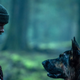 Brad Pitt navdušil v novi akcijski drami, ob tem poziva k posvojitvi psov