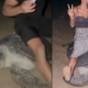 Vplivneža pozirala na morski želvi, ki je legla jajca