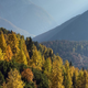 Zlati macesni - 5 idej za izlet po Sloveniji, čudovita jesen vas bo začarala