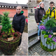 Dijaki Šole za hortikulturo in vizualne umetnosti na tekmovanju za naj vrtnarski nasad osvojili prvi dve mesti