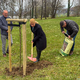 Posadili drevo, ki pomeni nov simbol trajnosti in podjetništva (foto)