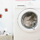 Tako dolgo lahko perilo ostane v pralnem stroju, brez da se pojavijo neprijetne vonjave