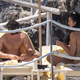 To so razkošni hoteli v Italiji, kjer sta medene tedne preživljala Dua Lipa in Callum Turner