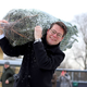 Dunaj: Odslužena božična drevesca pretvorijo v energijo za več kot 4000 gospodinjstev