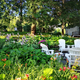 Ustvarjanje oaze: vrtno pohištvo za sprostitev in zabavo