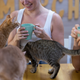 Mačje kavarne: Plačate čas, ne kave