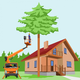 Svetovalnica: Previsoka sosedova drevesa ogrožajo našo hišo - kako naj ukrepamo
