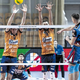 Napake pokopale odbojkarje ACH Volleyja