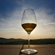 Hrvaška z nadaljnjimi aktivnostmi za zaščito vina prošek