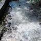Arso na Bledu potrdil onesnaženje vode s fekalijami