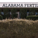 V Alabami so zamrznjeni zarodki otroci